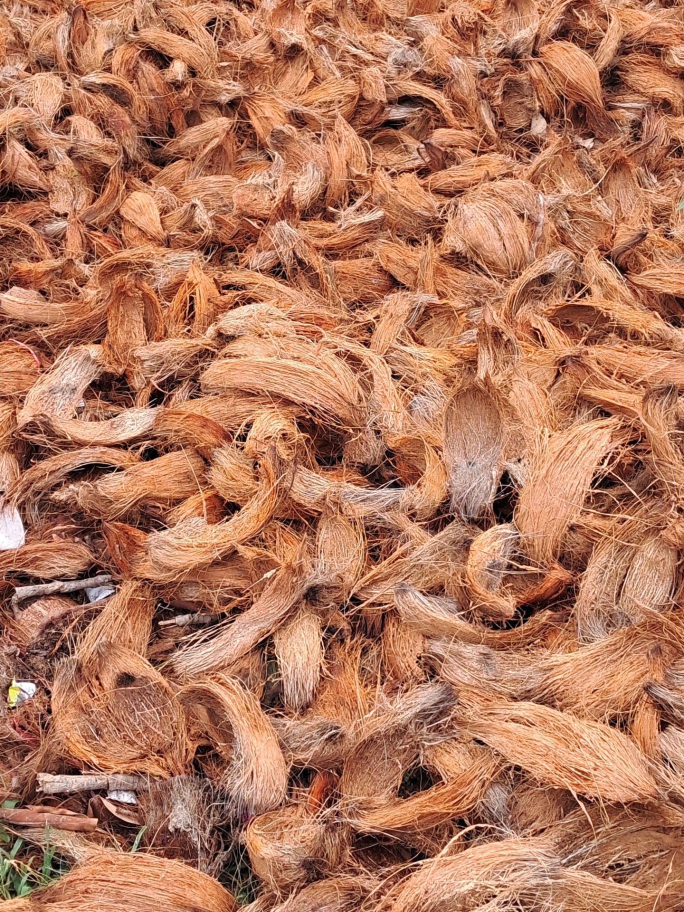 Coconut / Coir / Organic Fibres